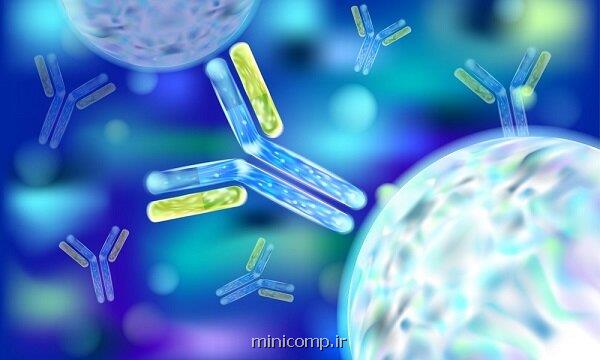 نخستین مسابقه طراحی گرافیکی مسیرهای ایمونولوژی
