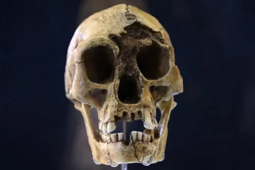 خشکسالی، گرسنگی و مواجهه با انسان خردمند، آخرین فصل زندگی هابیت ها را رقم زد