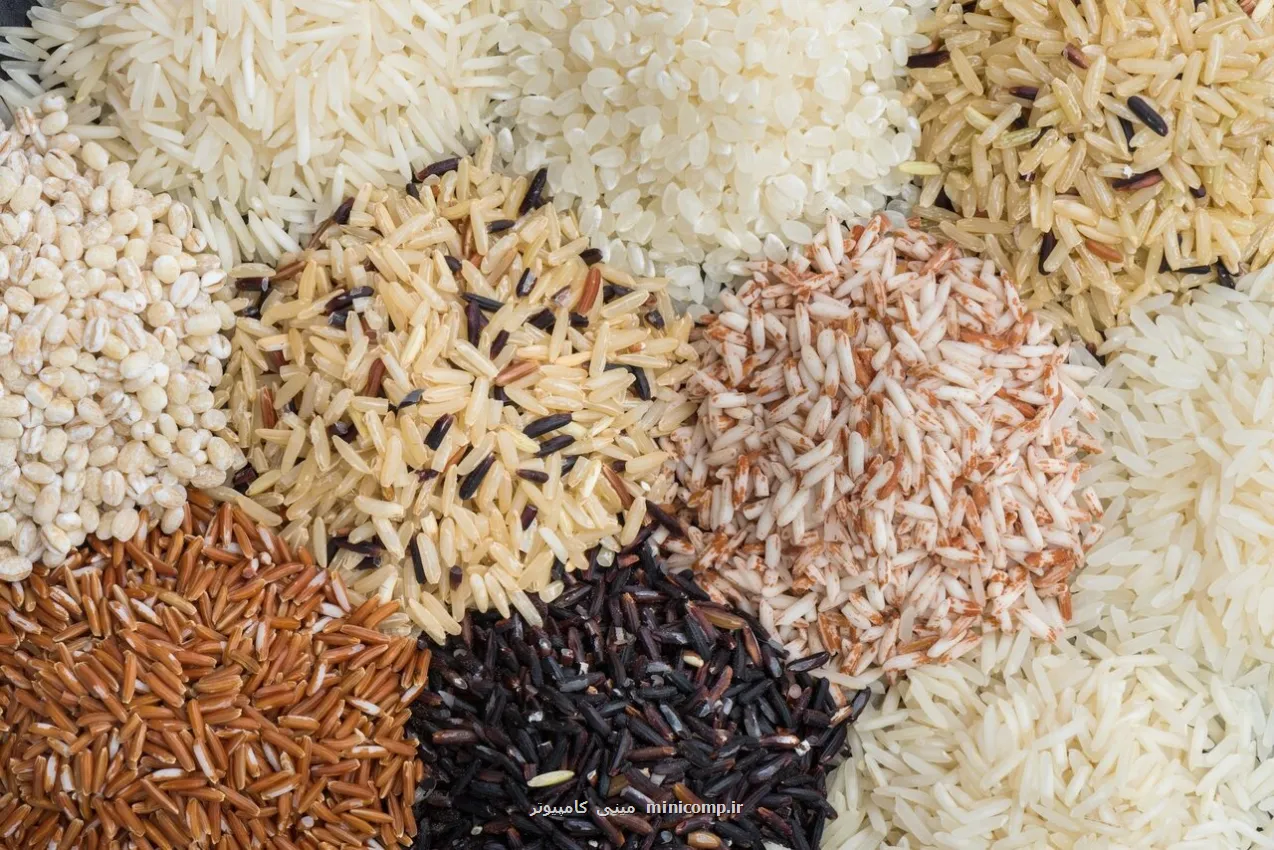 سرعت گرمایش زمین ۵هزار برابر بیشتر از توان سازگاری گیاه برنج است