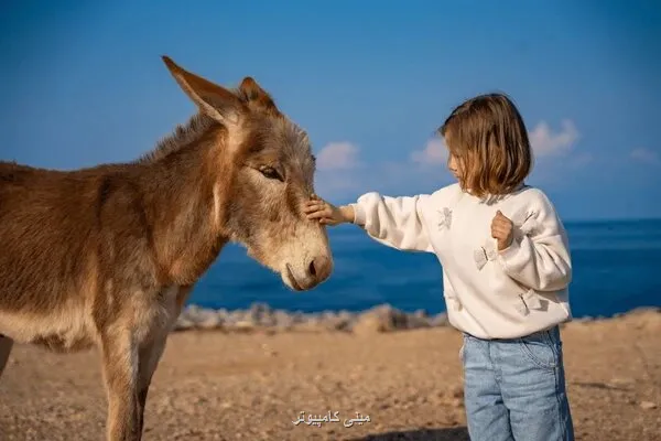 راهکار غیرمنتظره محققان برای بهبود حال نوجوانان