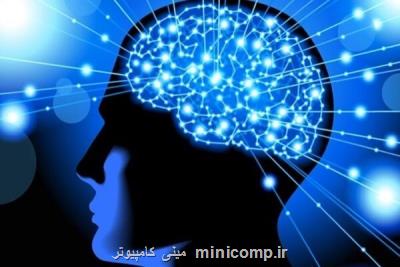 4 طرح پژوهشی علوم شناختی بین مراكز علمی ایران و چین اجرا می شود