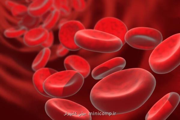 كنترل سطح آهن خون می تواند به افزایش طول عمر كمك نماید